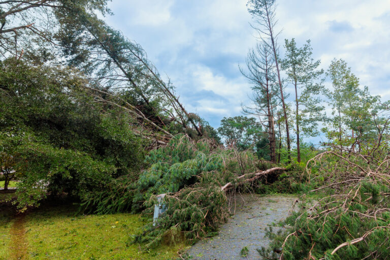 How a Whole House Surge Protector Saves Your Appliances During Storm Season